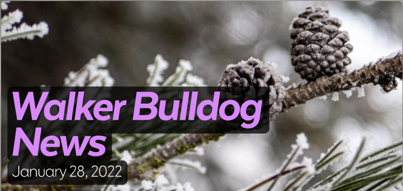 Walker Bulldog News