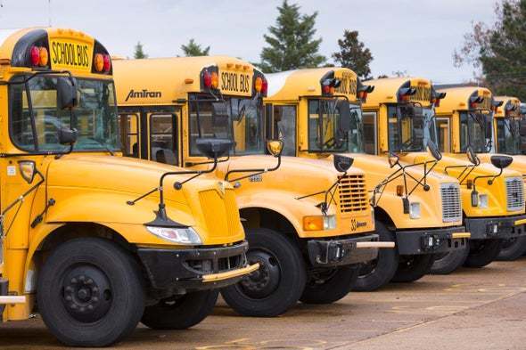 Bus Schedule 
